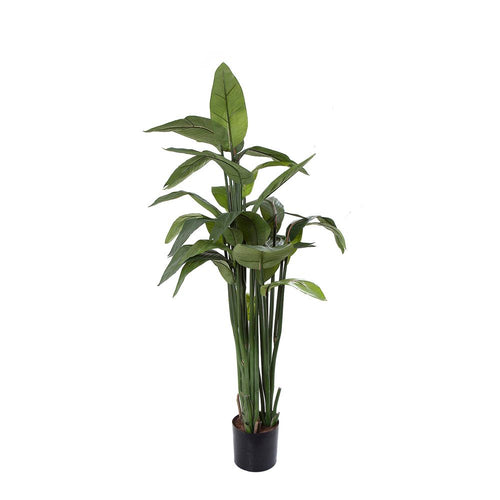 Artificial Strelitzia 135cm in pot | Dianna-Lynn Decor