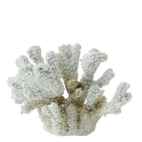 Coral Decor Small 15.5cmL Accessories Dianna-Lynn Decor
