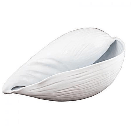 Decorative Giant Conch Shell 51cmL