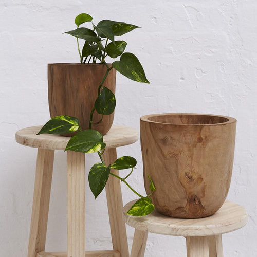 Iniko Tree Root Planter - Small/Large Planters and Vases Dianna-Lynn Decor