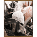 Muted Banksia Pair – Framed Canvas – 80×100