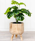 Poloma Timber Planter Pot