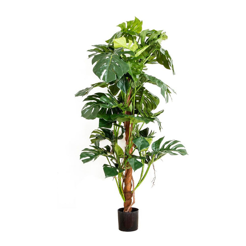 Artificial Split-Leaf Philodendron 1.5m