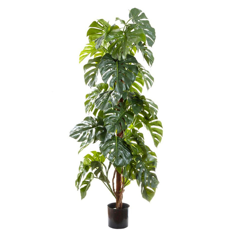 Artificial Split-Leaf Philodendron 1.8m