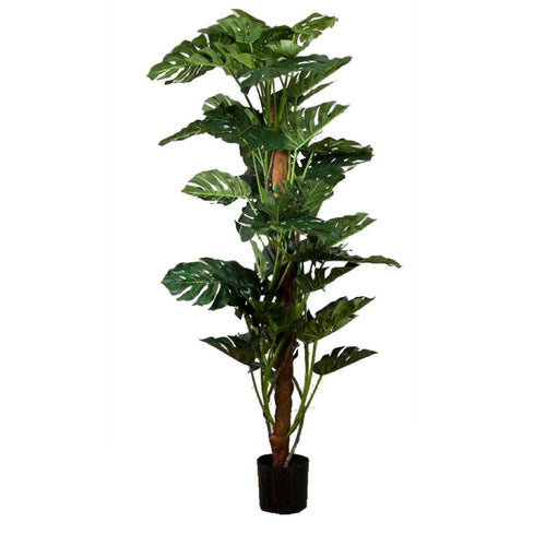 Artificial Split-Leaf Philodendron 1.9m