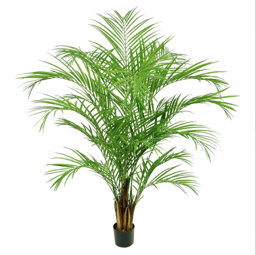 Artificial Areca Palm 1.8M Artificial Tropical Plants Dianna-Lynn Decor