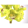 Artificial Cymbidium Orchid Bouquet Green (33cmH) Real Touch