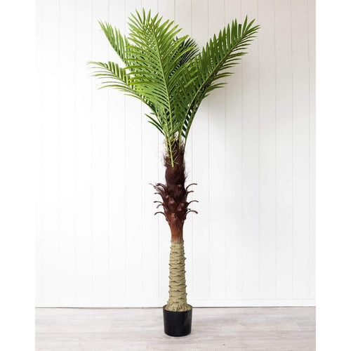 Artificial Green Palm - 150cm Artificial Tropical Plants Dianna-Lynn Decor