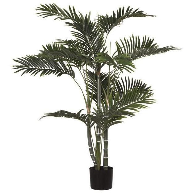 Golden Cane Palm Potted Plant Green (122cmH)