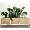 Grace Rattan Sideboard/TV Unit