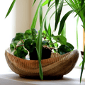 Hand Carved Village Bowl Natural