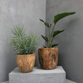 Iniko Tree Root Planter - Small/Large