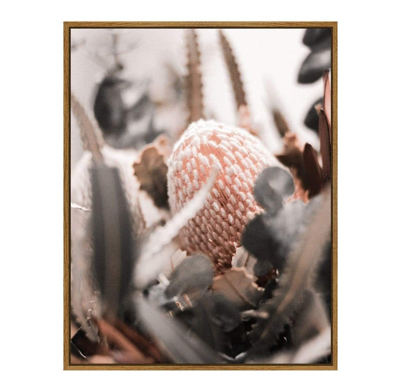 Muted Banksia – Framed Canvas – 80×100