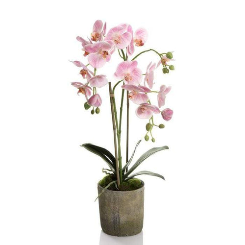 Pink Orchid in Terracotta Pot Artificial Tropical Plants Dianna-Lynn Decor