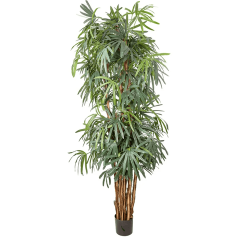 Raphis Palm Thin Leaf 2.4M Artificial Tropical Plants Dianna-Lynn Decor
