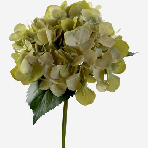 Silk Hydrangea Victoria Bouquet Green (32cmH) Artificial Flowers and Greenery Dianna-Lynn Decor