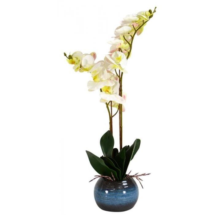 White 2 Stem Real Touch Orchid in Pot